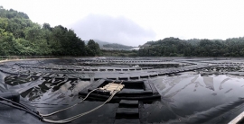 Z6·尊龙「中国区」官方网站